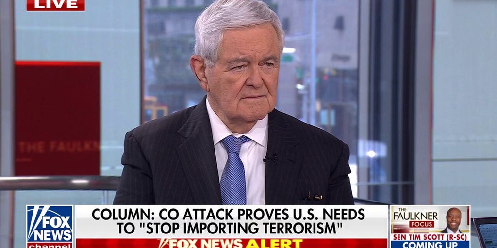 Newt Gingrich calls for 'stricter' immigration laws after Colorado terror attack