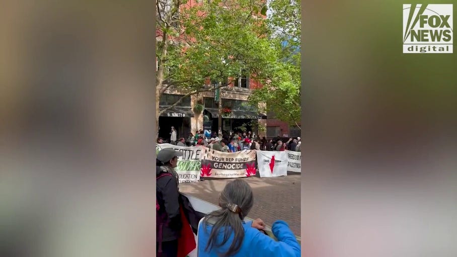 Anti-Israel agitators protest outside a World Cup match