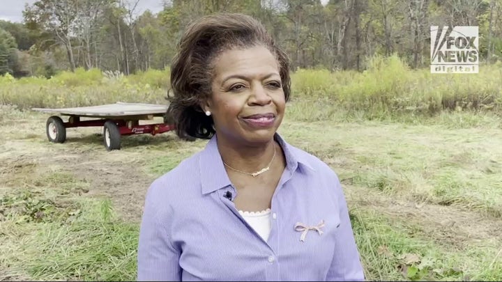 Democratic Senate nominee Cheri Beasley of North Carolina, the former state Supreme Court chief justice, is interviewed by Fox News