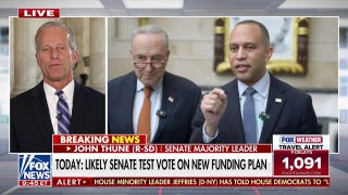Sen. Thune: Far-left is bullying 'reasonable' Democrats out of negotiating on shutdown