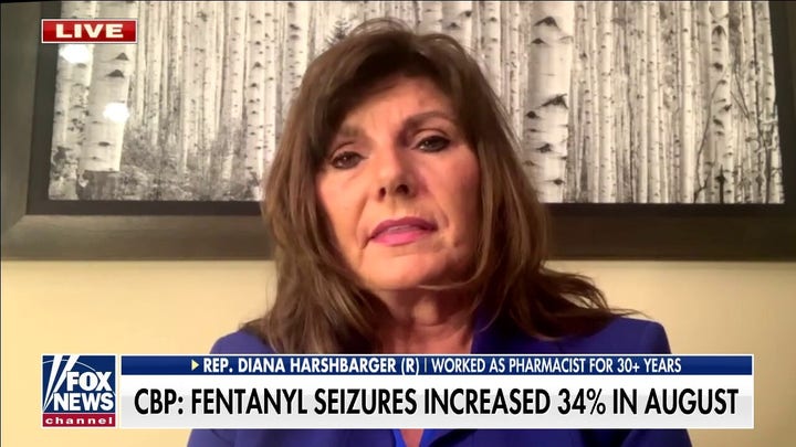 Border Patrol seizing 'unimaginable' amounts of fentanyl, other drugs: lawmaker