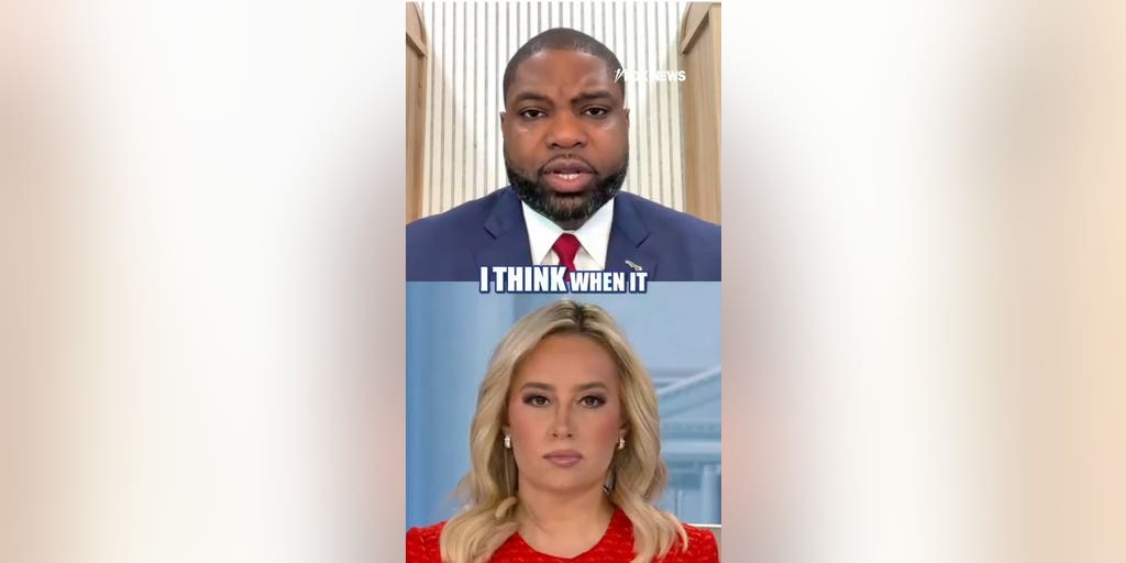 Byron Donalds voices concerns over Trump's proposed dividend checks | Fox News Video