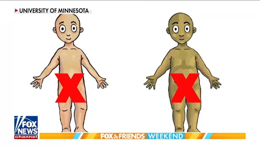 Transgender dolls to be available for Minnesota schoolchildren as young as 4: report