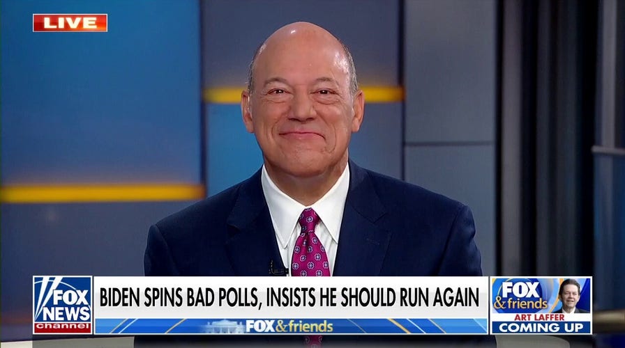 Fleischer: Democrats don't want Biden to run again