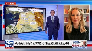 Trump is ‘past the point of a public opinion question’ on Iran, now it’s a ‘national security question,’ says political scientist