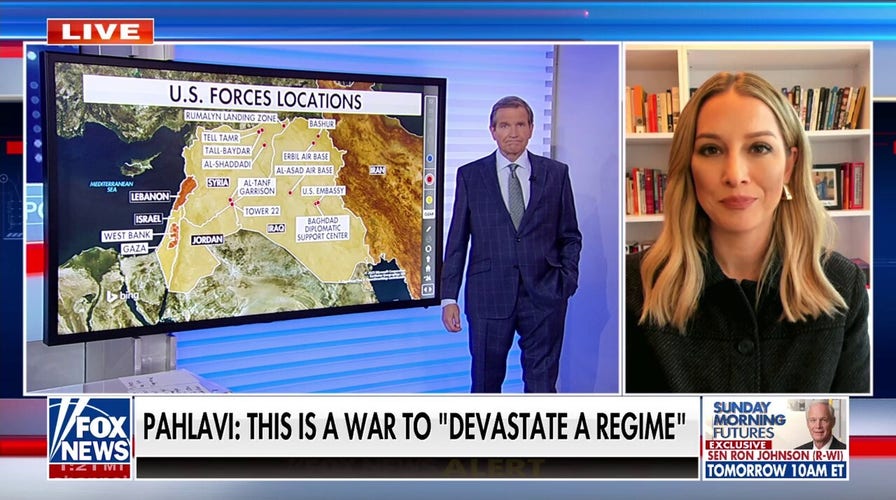 Trump is ‘past the point of a public opinion question’ on Iran, now it’s a ‘national security question,’ says political scientist