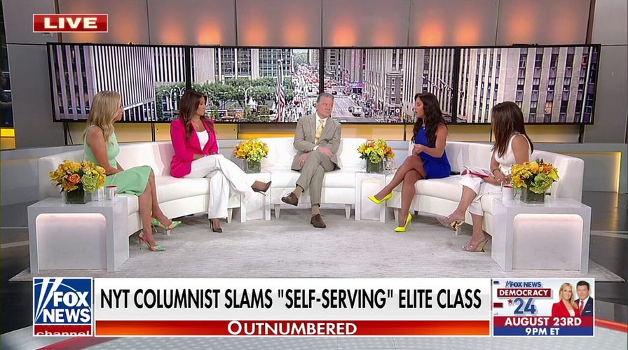 NYT columnist calls out 'self-serving' elite class