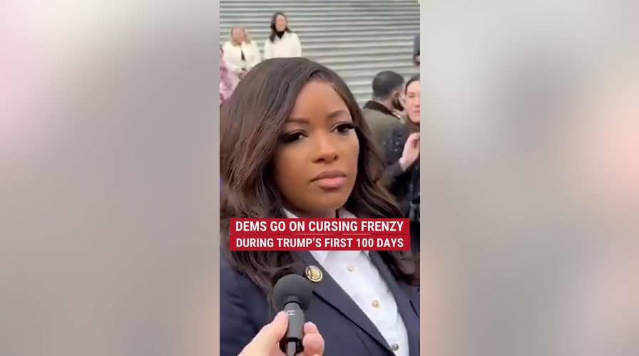 Democrats had some choice words in the first 100 days of Trump's second term