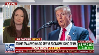 Trump Agriculture secretary dismisses economic concerns: 'This was always part of the plan' - Fox News