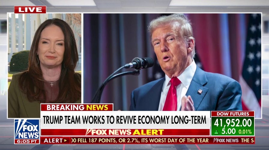 Trump Agriculture secretary dismisses economic concerns: 'This was always part of the plan'