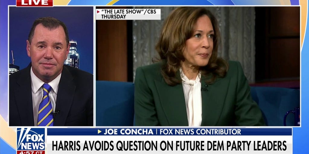 Former VP Harris Refuses to Name Democratic Party Leader
