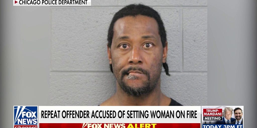 Chicago train attack suspect in court after setting woman on fire