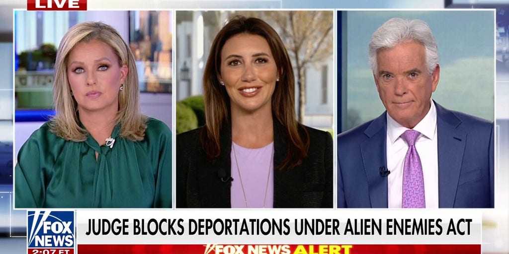 Alina Habba: Americans mandated these deportations