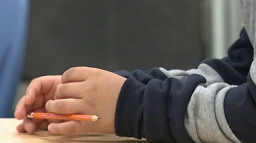 Woke culture 'infecting schools,' turning education into indoctrination: 'Woke Inc.' author