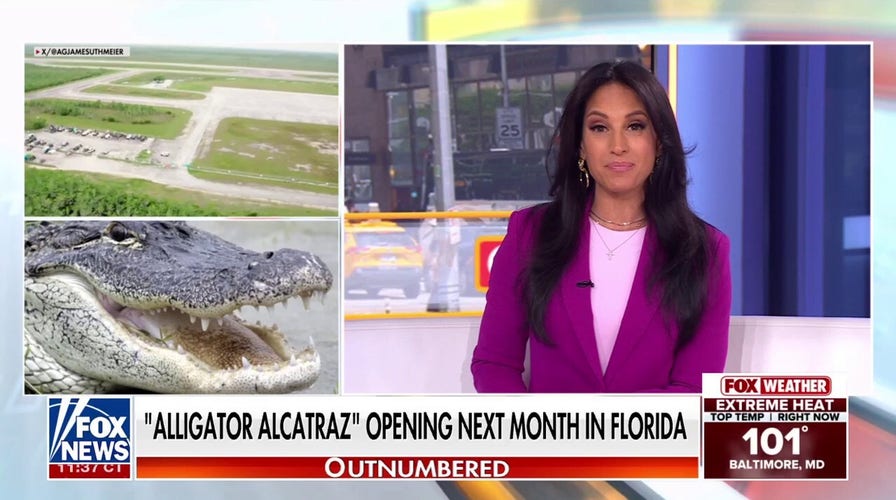 'Alligator Alcatraz': ICE detention center set to open in Florida