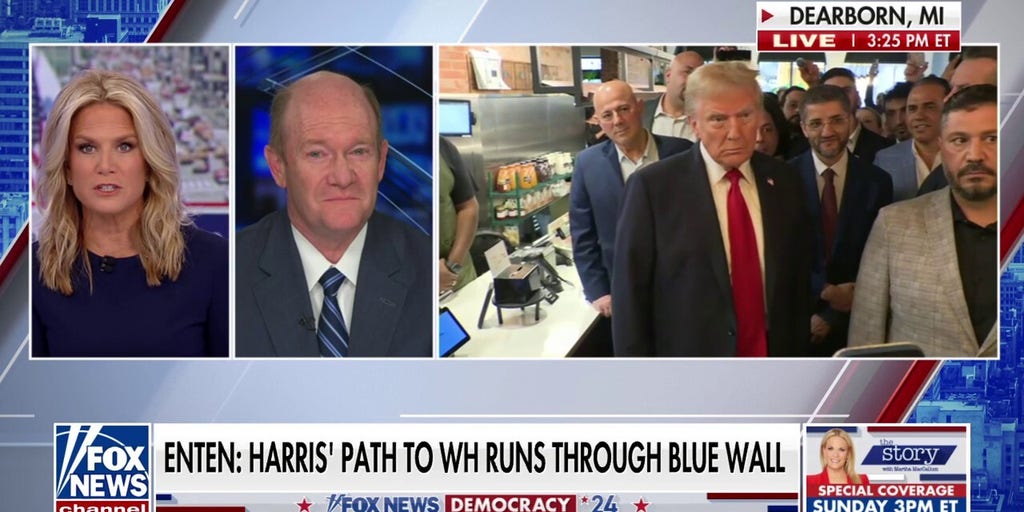Sen. Chris Coons 'optimistic' about Harris ground game in Great Lake battleground states