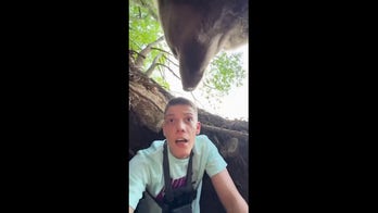 Influencer captures his close bear encounter on video