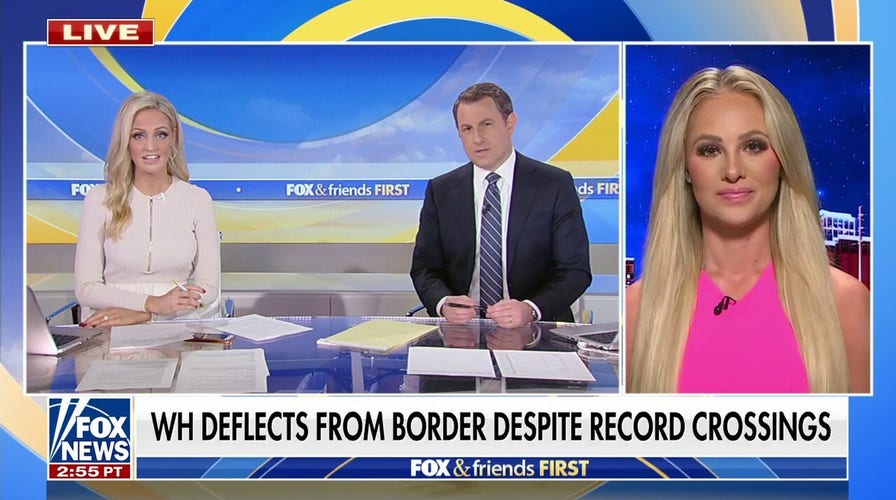 Tomi Lahren: Democrats are not trying to solve the border crisis