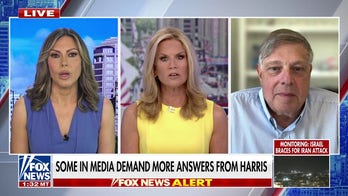 Lisa Boothe: Trump is 'running against almost the entirety of the media'