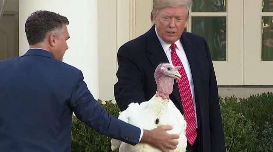 President Trump pardons the National Thanksgiving Turkey 'Butter' and its alternate 'Bread'