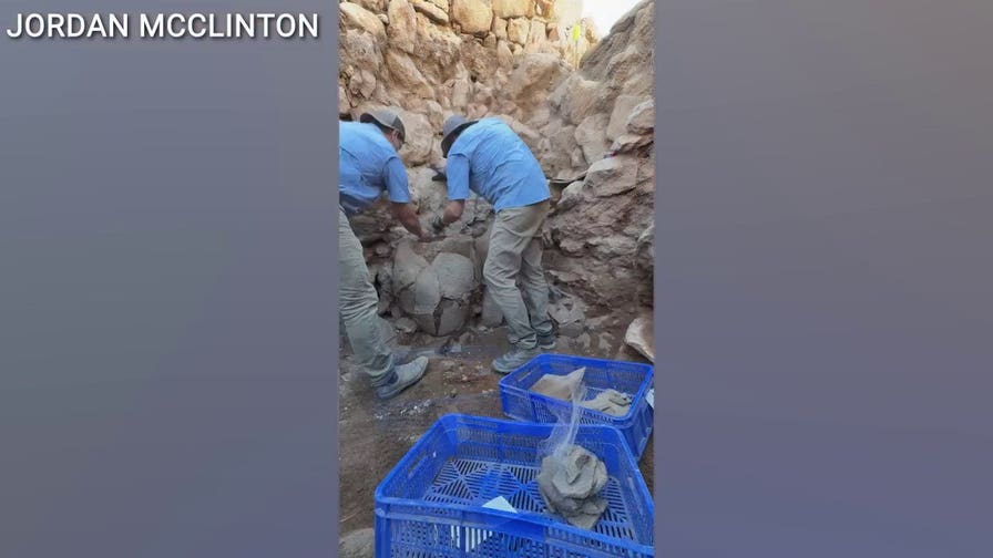 Ancient food found at biblical Shiloh near site tied to Ark of the Covenant