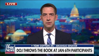 Sen. Cotton: Nobody should 'face harsher sentences' due to political beliefs