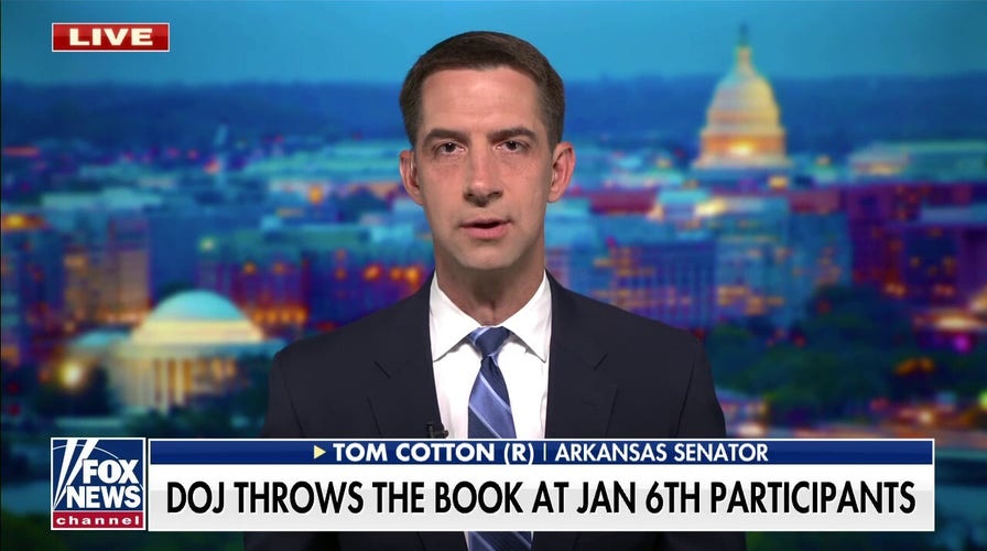 Sen. Cotton: Nobody should 'face harsher sentences' due to political beliefs