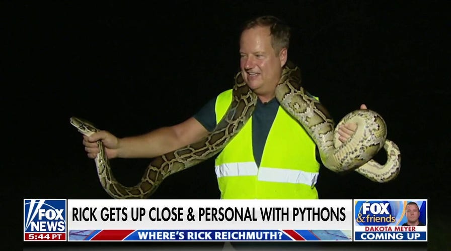 FOX Meteorologist Rick Reichmuth goes python hunting in The Everglades
