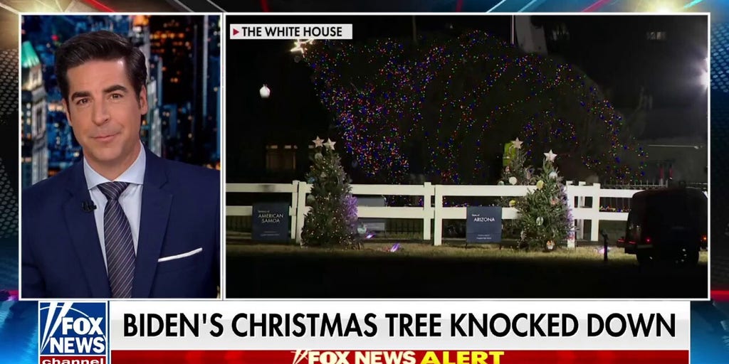 Biden's Christmas tree knocked down | Fox News Video