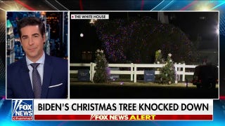  Biden's Christmas tree knocked down - Fox News