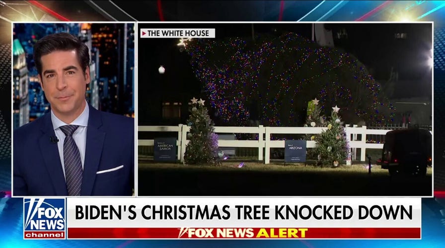  Biden's Christmas tree knocked down