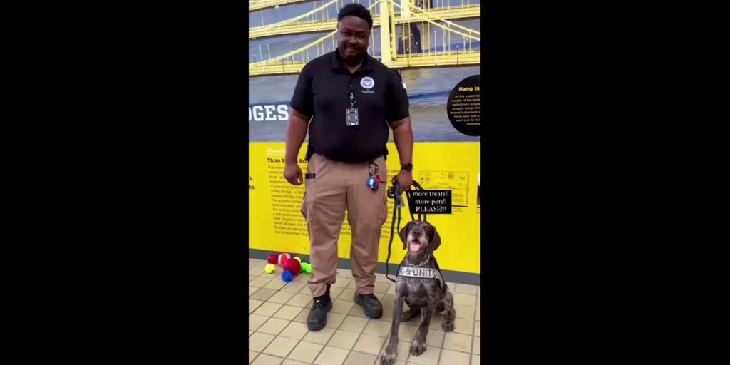 Pennsylvania K-9 gets retirement party with toys and treats