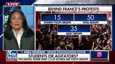 Expert details how far-left groups are funding chaotic France protests