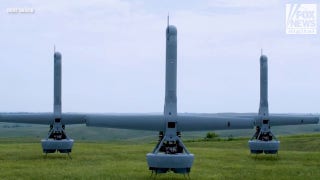 How a lizard-like robot could help the Navy 'prevent catastrophes': decorated veteran - Fox News