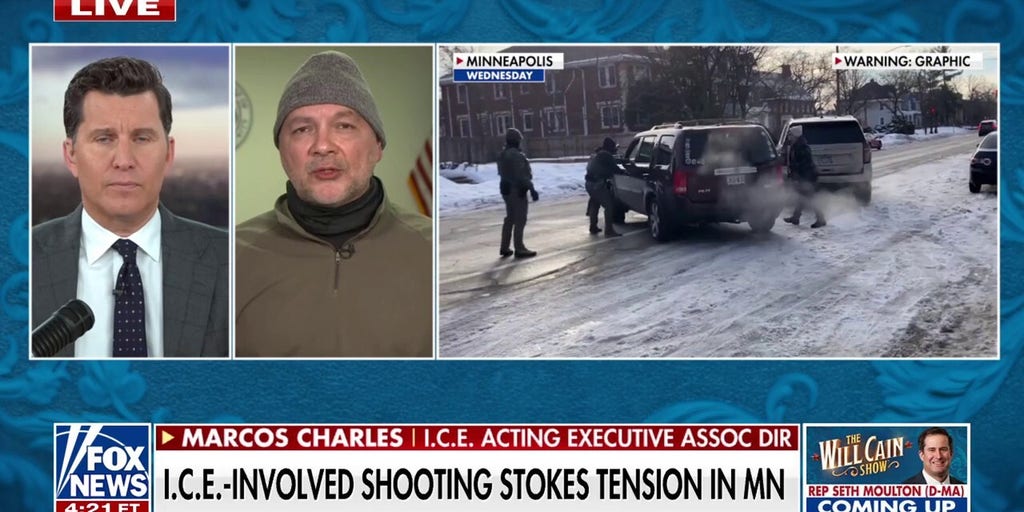 Unfair to call ICE agent a murderer, official says