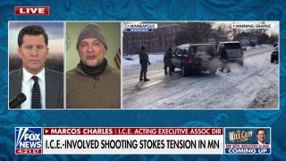 Unfair to call ICE agent a murderer, official says