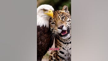 Colombia leader makes 'REMARKABLE TURNAROUND' after Trump call