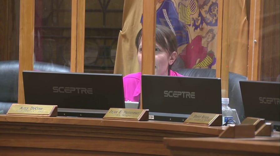 Jersey City Councilwoman Amy DeGise addresses Hit-and-Run