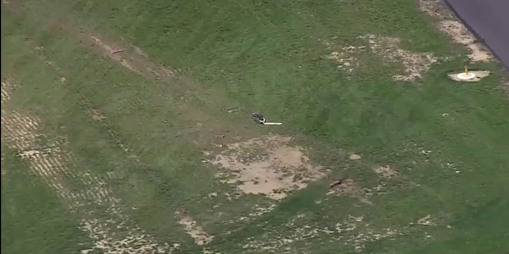 Small plane crashes at Maryland airport