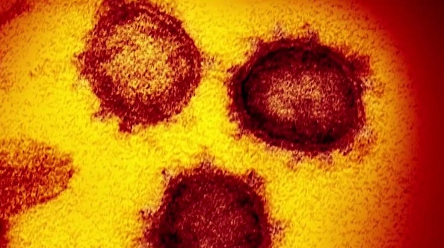 Coronavirus containment strategy relies on technology