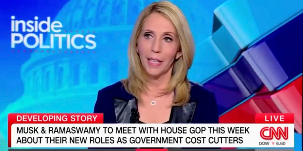 CNN's Dana Bash slams DOGE initiative under Musk, Ramaswamy