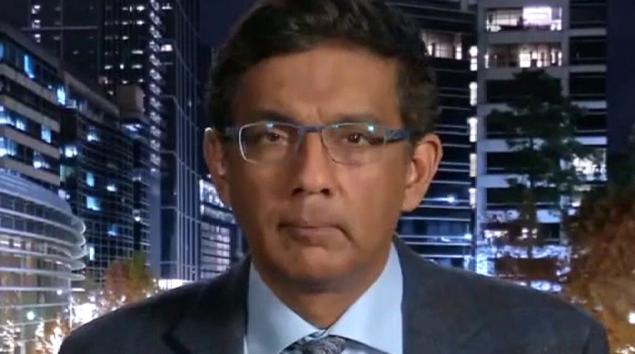 D'Souza: Left trying to drive wedge between MAGA movement, traditional GOP