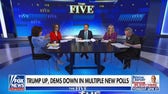 Gutfeld: Democrats are seeing the consequences of identity politics
