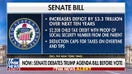 Key differences between the House and the Senate's 'big, beautiful bill'