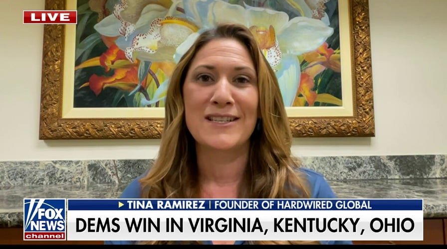 Former Virginia congressional candidate reacts to Democratic election wins: Not what we hoped for