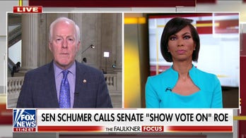 Sen. Cornyn: Democrats overreached with abortion protests and are 'crossing a line'