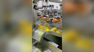 Egg-cracking process in factory captured on video - Fox News
