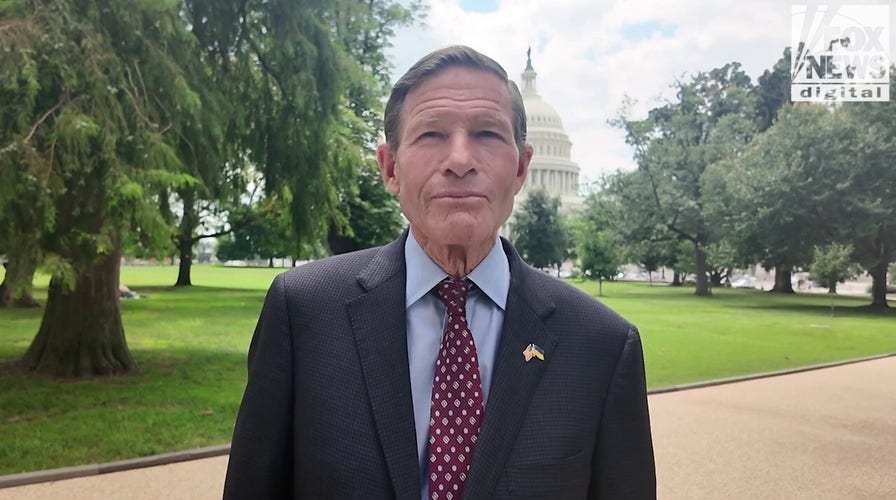 Senators say whether Biden's former vice president should testify in his mental acuity probe