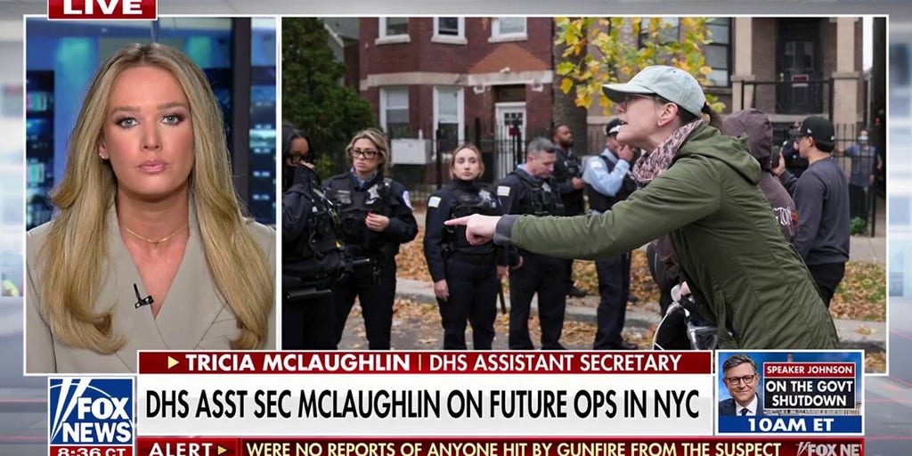 Tricia McLaughlin sounds alarm on ‘unprecedented’ rise in vehicle rammings targeting ICE agents