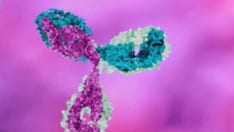 Coronavirus fits criteria for 'Disease X,' WHO expert says